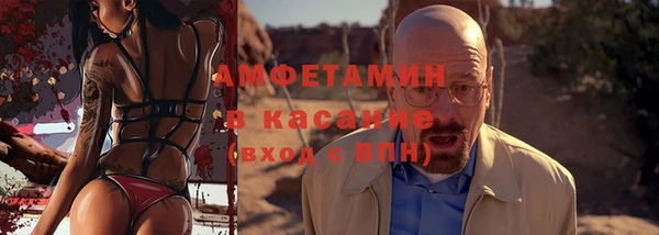 индика Арсеньев