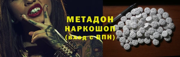 индика Арсеньев