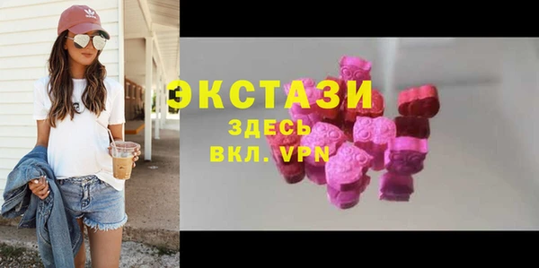 индика Арсеньев