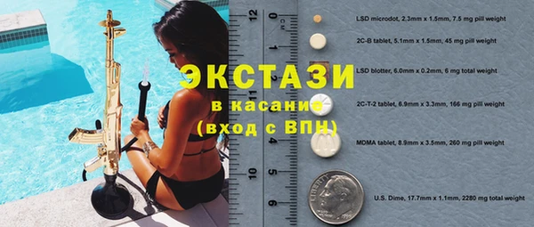 индика Арсеньев
