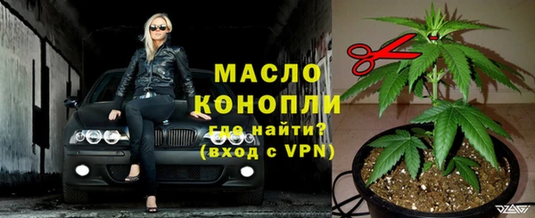 индика Арсеньев