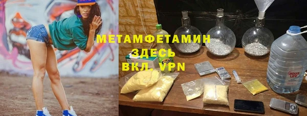 индика Арсеньев