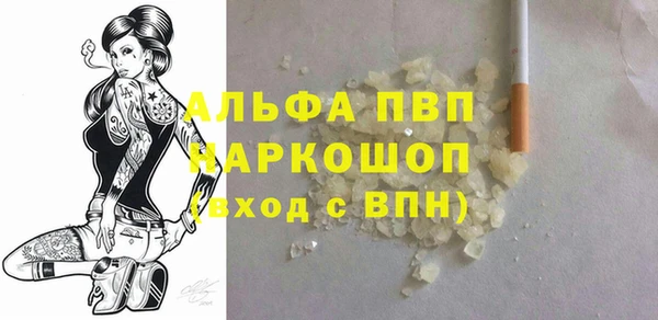 индика Арсеньев